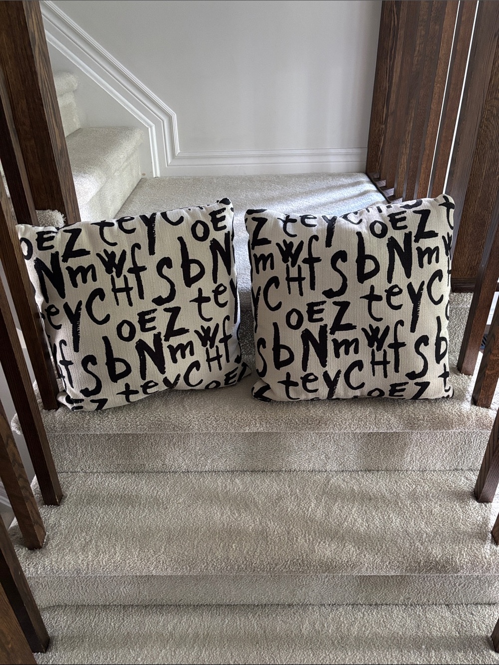 Neutral Black & White Lettered Throw Pillow Pair